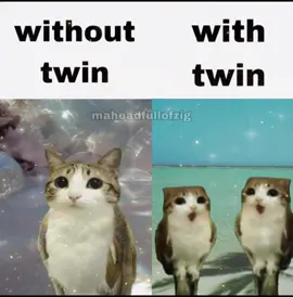 yay twin #maheadfullofzig #real #relateable #meowl #fyp 