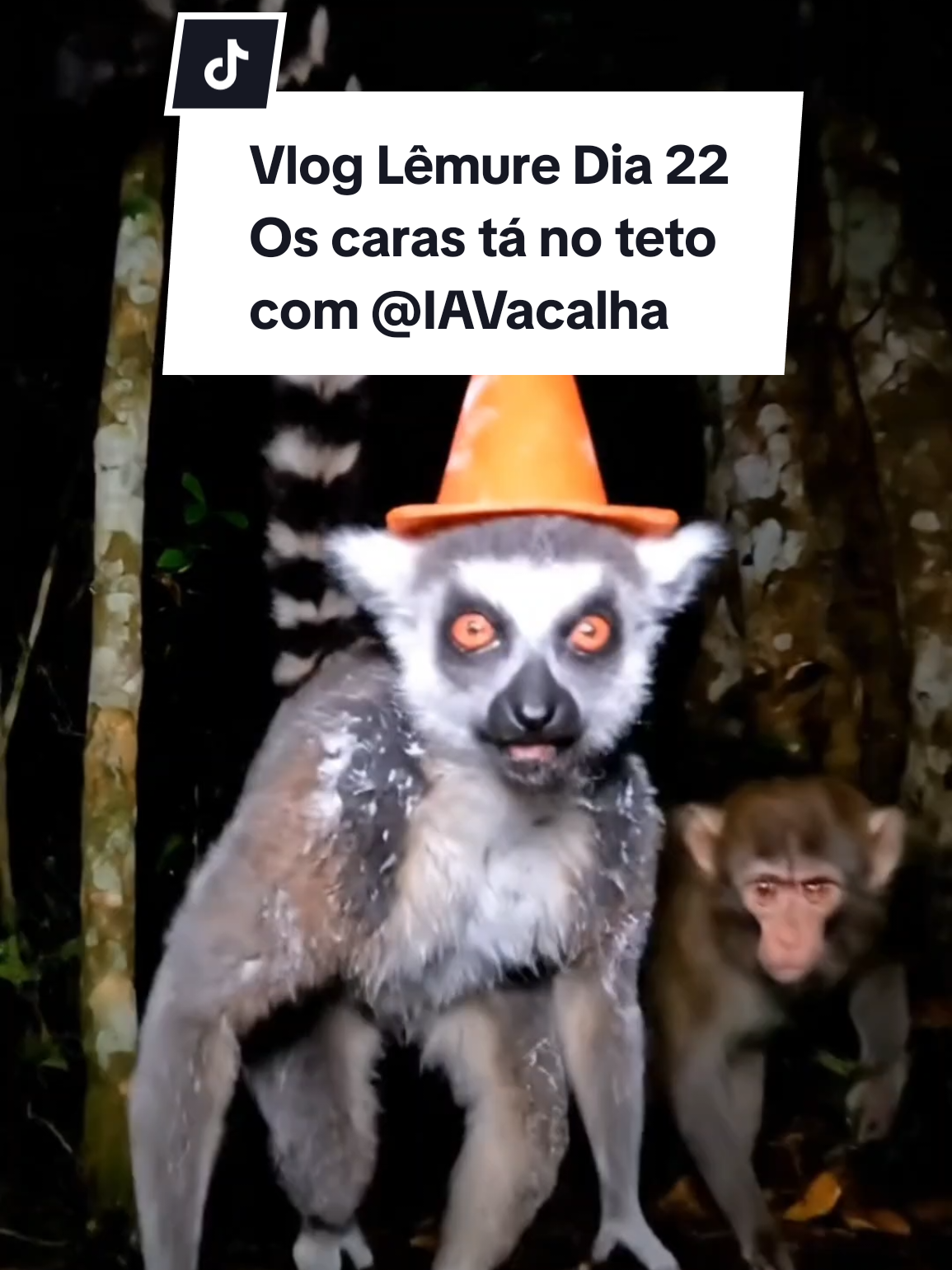 Os caras ta na maldade querendo minha makita @IAvacalha #fyp #creatorsearchinsights #makita #memesbr 