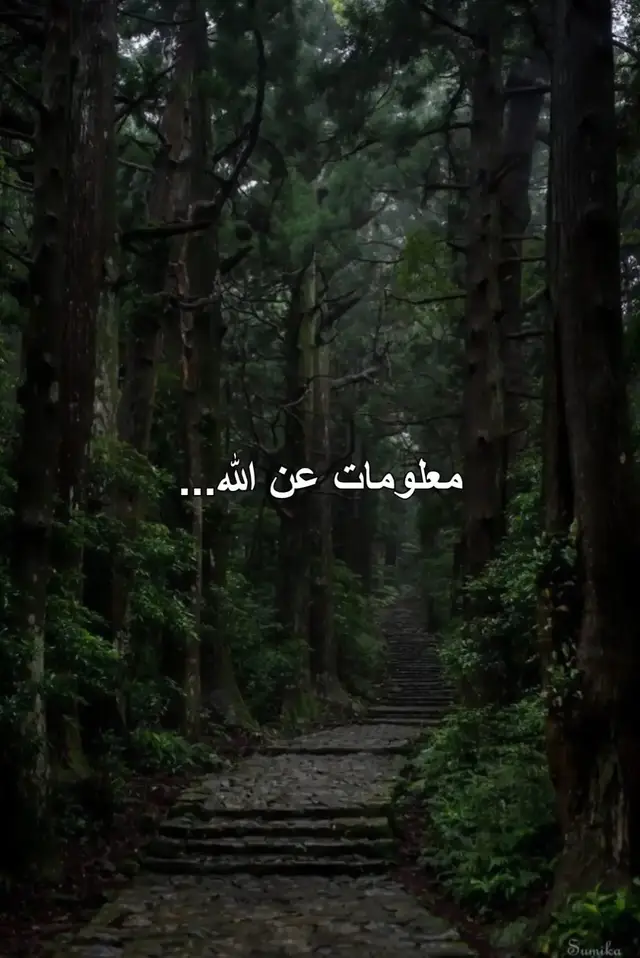 معلومات عن الله تعالى ؟