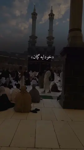 #اللهم_امين_يارب_العالمين 💙🤲🏻#للهم_صل_وسلم_على_نبينا_محمد 🤍🕊️