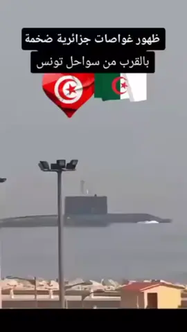 🔴 بدأت القوات البحرية الجزائرية 🇩🇿 بتجهيز احد غواصات الثقب الاسود، التي سترسو بميناء تونس 🇹🇳 بأحدث الصواريخ الهجومية و المضادة ضد أي تهديد خارجي يهدد أمن تونس و الجزائر و حدودها البحرية، ضمن اتفاقية الجيرة والشراكة الدفاعية. #تونس🇹🇳 #الجزائر🇩🇿 