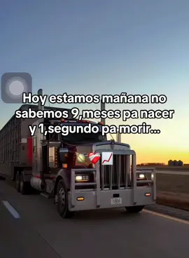 Respuesta a @jelderguisa #trailerosmexicanos🇲🇽💯😎 #traileroschapines🇬🇹502💯😎 #traileros_cachimberos_moviendo_a_mexico #jaulasganaderas #trailerosdela57 