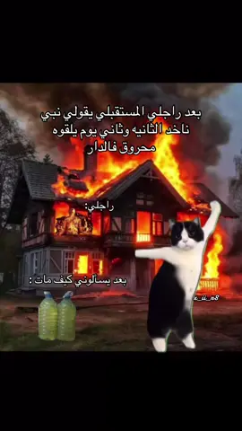 يا بخته #شعب_الصيني_ماله_حل😂😂 #ليبيا #pppppppppppppppp #اكسبلور 