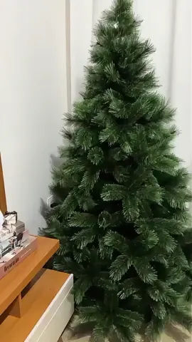 ✨ Transforme sua casa em um verdadeiro cenário natalino! 🎄 Chega de árvores frágeis que desmontam fácil e não trazem o clima mágico do Natal. Com a Árvore Natalina Premium, você garante: ✔️ Qualidade e resistência para vários Natais ✔️ Visual sofisticado e realista ✔️ Preço acessível que cabe no bolso ✔️ Fácil montagem e durabilidade 👉 Traga a magia do Natal para sua casa e encante família e amigos neste fim de ano. 🛒 Corra! Estoque limitado. Clique e garanta a sua agora mesmo. #ÁrvoreDeNatal #DecoraçãoDeNatal #Natal2025 #CasaAconchegante #MagiaDoNatal