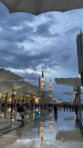 صلو على النبي ❤️ #المدينه_المنوره #صدقه_جاريه 