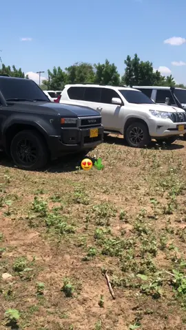 ##toyota solo Toyota 