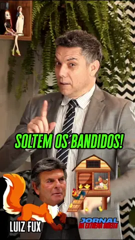 Luiz Fux joga lenha na fogueira e não vê gravidade na tentativa de Golpe de Estado. #luizfux #bolsonaro #stf #ligaantifascista #andresuzano 