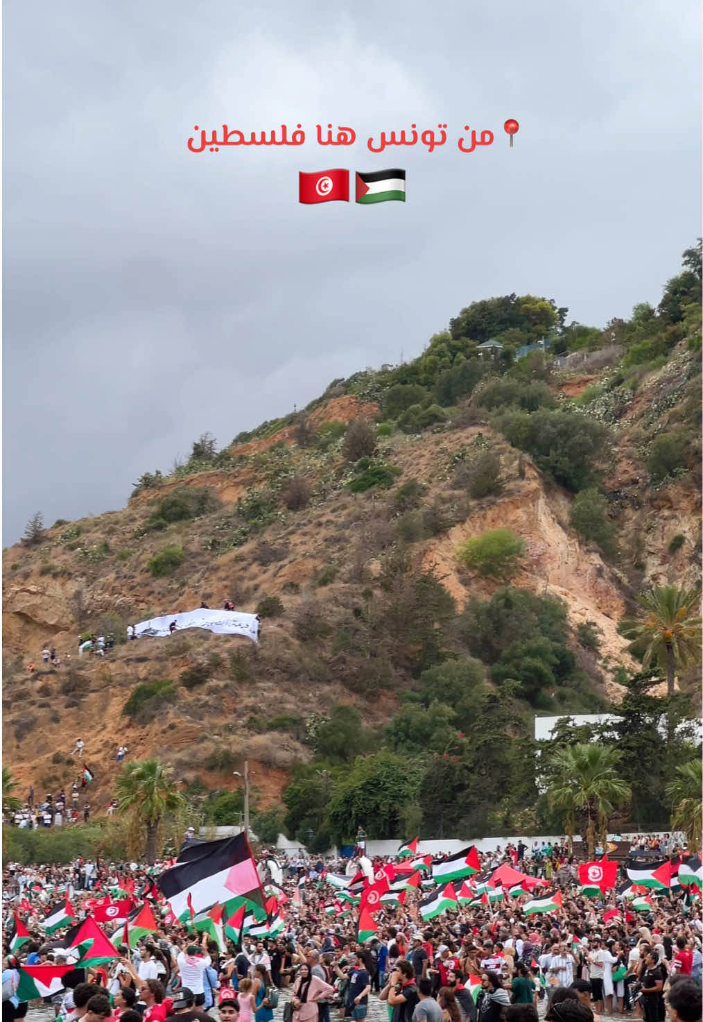 From Sidi bousaid, Tunia✌🏻❤️#اسطول_الصمود #flotilla #tunisia #palestine #fyp 