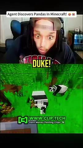 #agent #Minecraft #panda #viral #foryou 