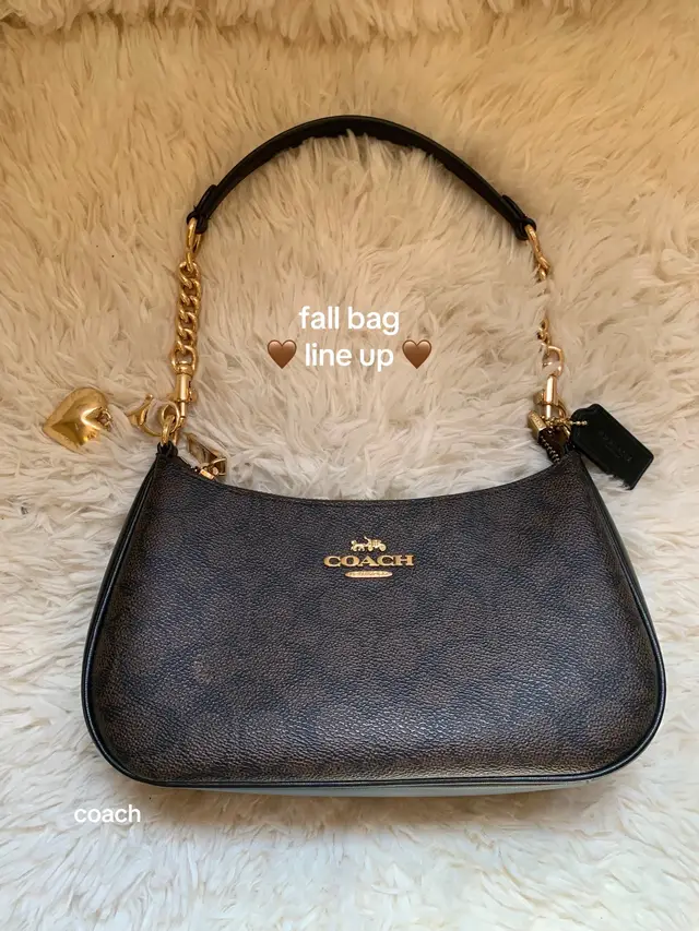 I love brown 🤎 here are a few of my fav bags for fall ☺️ #coachpurse #zara #thrifted #fallfashion #fallaesthetic 