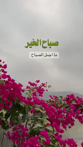 #صباحكم_معطر_بذكر_الله🌷🍃 