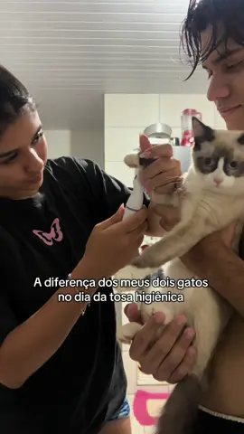 Dois extremos kkkk Para quer quiser o kit só clicar no carrinho laranja  #aparadordepelos #gato #tosahigiênica #gatinho #meme 