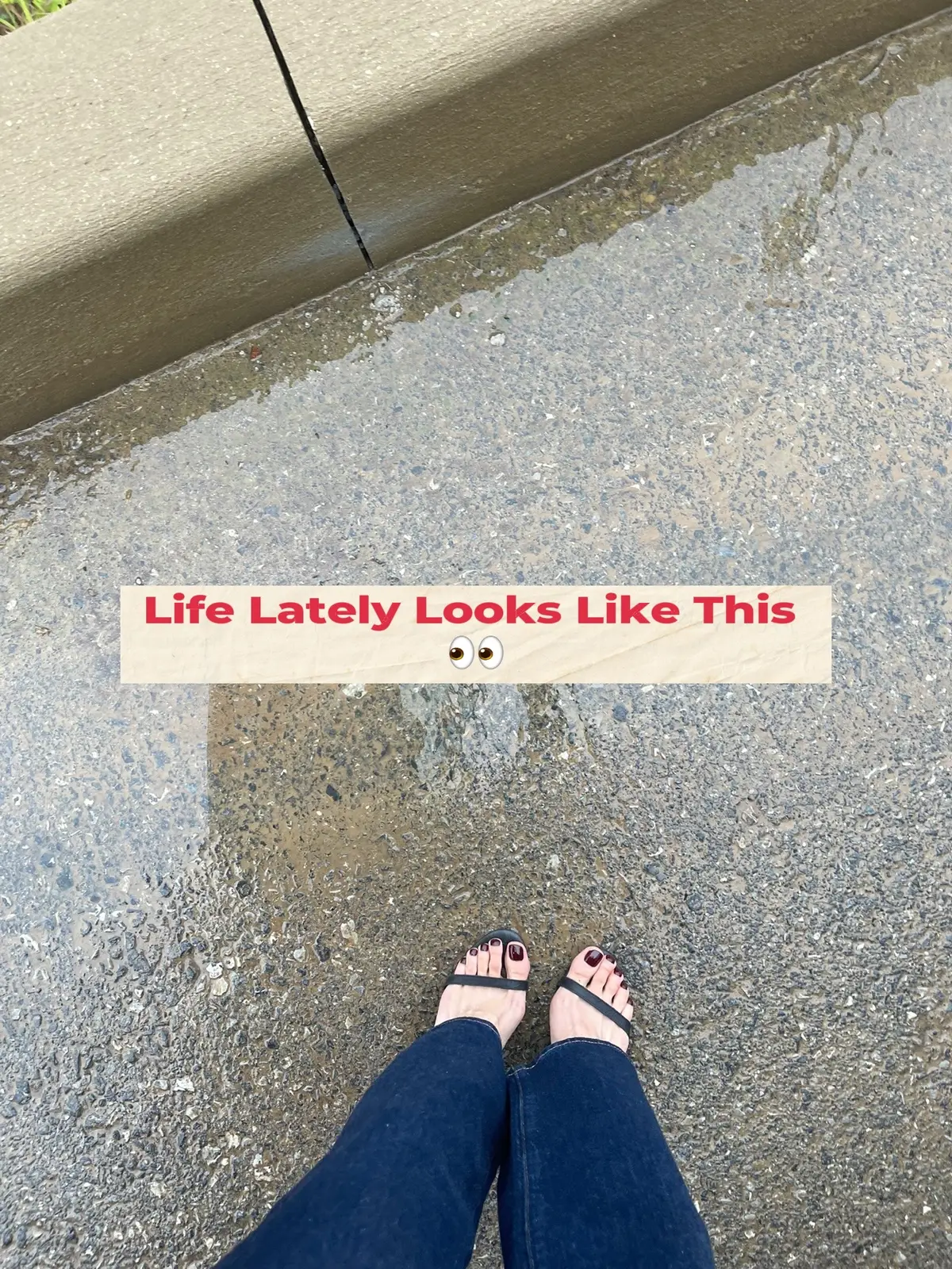 Life lately looks like a lot of shopping… 🛍️ I’ve been decorating my new house for Halloween 🎃👻 and found the cutest pieces at Ross, TJMAXX, and HomeGoods (my grandma’s favorite stores 💕). She was in town, so of course we went shopping together—always the best vibes. Also snagged some super comfy running shorts from Walmart 🩳 (seriously, such a steal). And now I can’t stop thinking about those Nike Cortez I spotted… they were only $35!! Should I go back for them?! 👟 Stay tuned—I’ll be posting a full Halloween haul soon with everything I picked up for the house. 🏡✨ @Ross Dress for Less @HomeGoods @TJ Maxx @Walmart  #lifelately #shoppingfinds  #halloweendecor  #rossfinds  #homegoodshalloween  