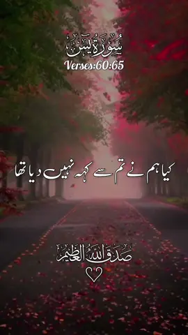 ‎القرآن الکریم 🌹🌹❤ #quran #quranicquotes #islamicreminders #islamicreelsvideo #growmyaccount           