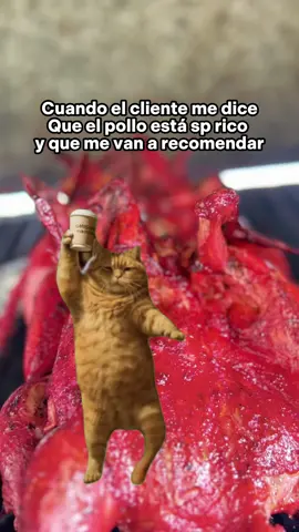 Tremendo halago🫰🏻 #paratiiiiiiiiiiiiiiiiiiiiiiiiiiiiiii #foryou #polloasado #comida #pinchetiktokponmeenparati 