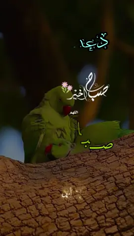 دعاء الصباح اللهم إني أسألك الثبات في الأمر  وأسألك العزيمة على الرشد وأسألك شكر نعمتك وحسن عبادتك  وأسألك قلبا سليما ولسانا صادقا وأسألك من خير ما تعلم وأعوذ بك من شر ما تعلم وأستغفرك لما تعلم، إنك أنت علام الغيوب #صباحكم_أحلى_صباح #صباحكم_معطر_بذكر_الله #صباح_الورد #صباح_الخير #صبحكم_الله_بالايمان_وطاعة_الرحمن 