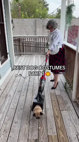 Which dog Halloween costume is your favorite??? 🎃🎃🎃 #dog #halloween #dogcostume #funnydog #halloweencostume 