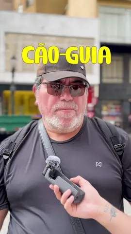 Esse é o seu cão-guia? #cao #guia #visao #labrador 
