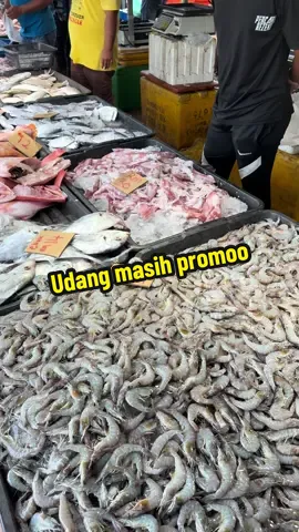 Open Khamis 11/9 Location📍 Wani Ikan Segar Pauh Sembilan #waniikansegarpauhsembilan #ikanmurah #ikansegar #