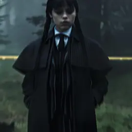 The way she looked at him😂 #wednesday #edit #addamsfamily #wednesdayaddams #tylergalpin 