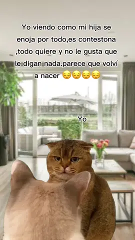 #MemeCut #Meme #liveincentiveprogram #monitizationtiktok #estadosunidos🇺🇸 