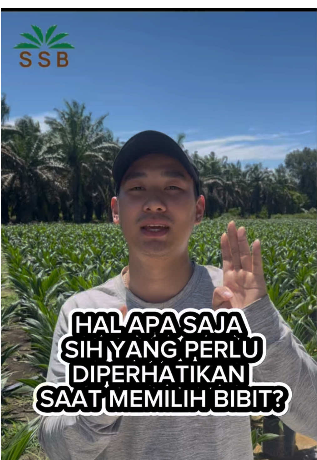 Menurut kita ada 4 hal ni yang perlu diperhatikan sebelum memilih bibit, menurut sobat bibitan selain ke4 hal tersebut kira kira apa lagi yaa ? Komen di bawah ya!!! #petani #bibit #sawit #pembibitan #pertanian 