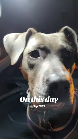 #onthisday