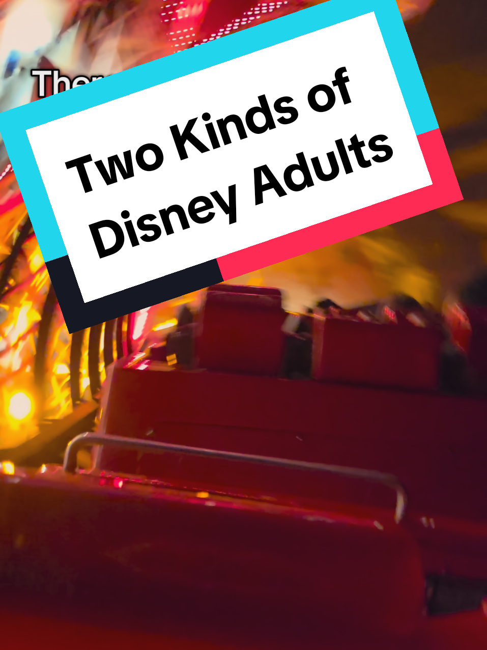There are  2 types of Disney Adults at DCA at the end of the night… which one are you?  #DisneyCaliforniaAdventure  #WorldOfColor  #Incredicoaster  #DisneyAdults  #fyp 