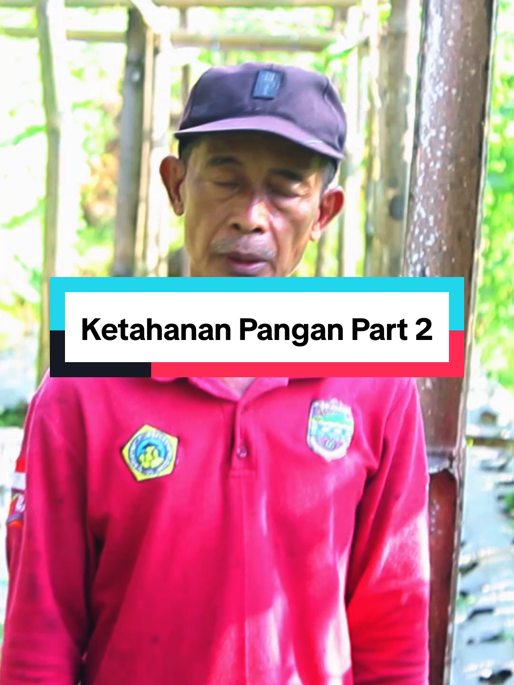 Tujuannya adalah untuk meningkatkan ketersediaan, keterjangkauan, dan konsumsi pangan yang sehat, beragam, dan sesuai dengan kebutuhan lokal. #desa #bojonggedangbercahaya #desabojonggedang #rancah #ciamis 