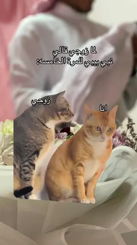 #اكسبلورexplore #حمل #ولادة #بيبي #اكسبلور 