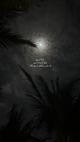 ﴿ وقل رب أدخلني مدخل صدق وأخرجني مخرج صدق واجعل لي من لدنك سلطانًا نصيرًا ﴾✨🩵 #تصويري #اكسبلورexplore 