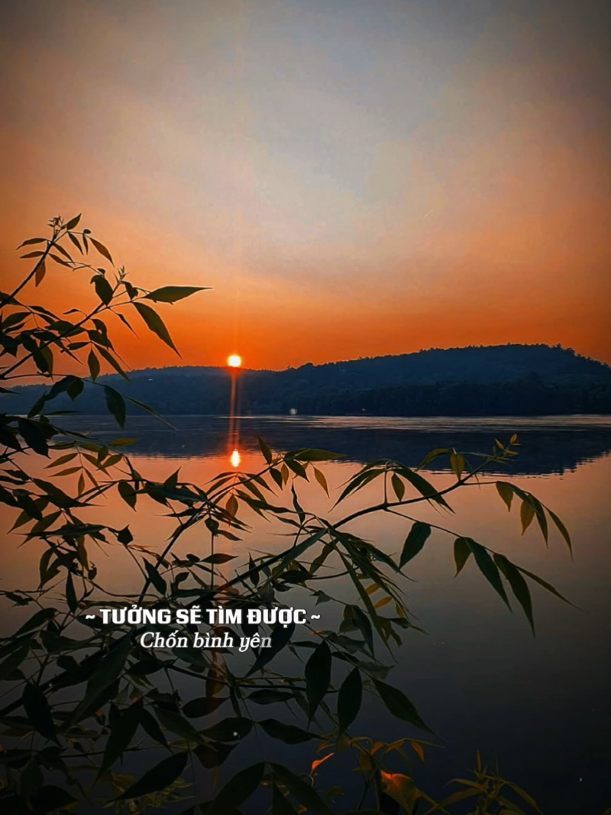 Bao năm tháng cứ trôi vô địch tưởng sẽ tìm được chốn bình yên #capcut #capcutpioneer #pioneertemplate #blues #tramblues 