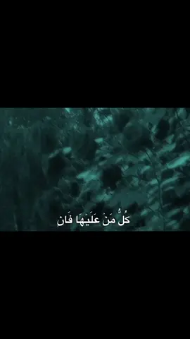 #سورة_الرحمن #المنشاوي #fyp #تلاوه #quran 