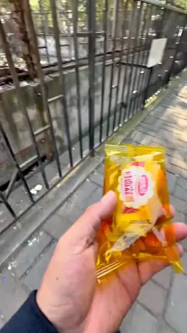 #LanguageLearning #tiktok #monkey #foryou 