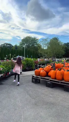 @Wards Berry Farm #farm #massachusetts #plants #fall #fyp 
