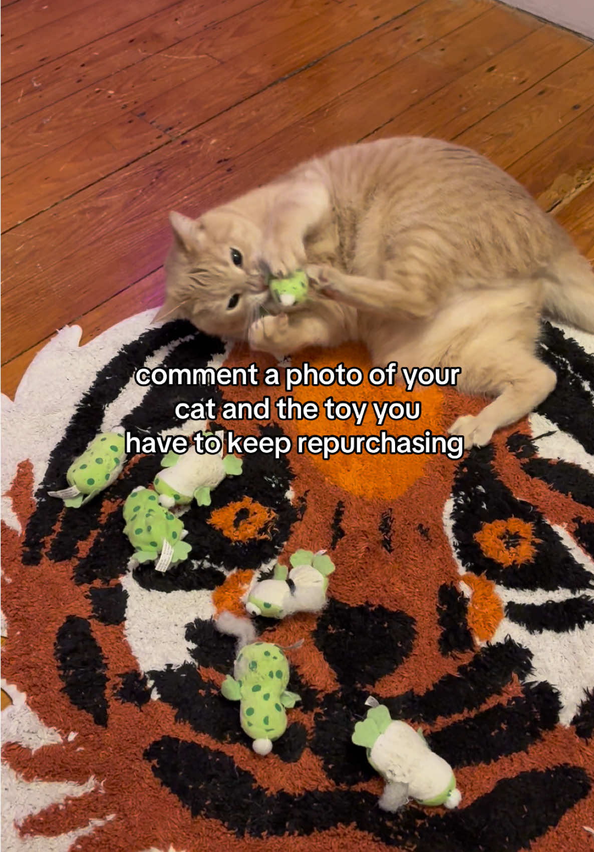 no bigger enemy than froggie in this house  #cats#catsoftiktok#fyp