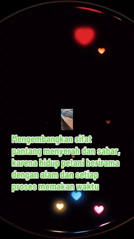 Mengembangkan sifat pantang menyerah dan sabar, karena hidup petani berirama dengan alam dan setiap proses memakan waktu #tiktokreels  #solusipetanicerdas  #jangkauanluas  #petaniindonesia🇮🇩🇮🇩🇮🇩🌿🌿  #vidioviral  @sorotan 