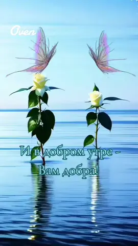 Доброеутро#goodmorning #ВэтотДень 