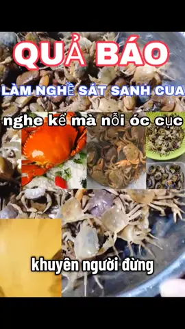 QUẢ BÁO NGHỀ SÁT SANH CUA 