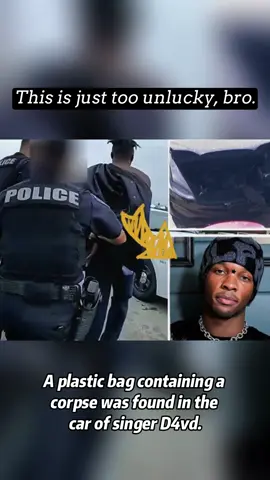 A body wrapped in a plastic bag was found in the car of singer D4vd. The subsequent investigation is still ongoing. #d4vd#worldnews#losangeles