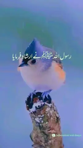 #hadeesshareef #islamic_video #islam #islamfyp 
