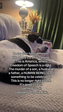 Today is a sad day for our country. 