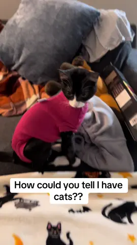 Seriously…how could you tell? It’s not like I have cat stuff literally all over my apartment 😂believe it or not, these are my first kittens ever. I never understood the whole crazy cat lady thing before, but I sure do now! I would adopt 100 cats if I could😂Everything shown in my video is linked in my showcase! Check it out if you have a chance to support a small creator🥰#funnycat #catmom #crazycatlady #kittens #tuxedocat 