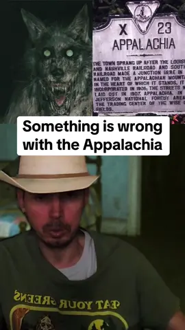 Something is wrong with the Appalachia. #appalachia #appalachianmountains #scarystories #creepystorytime #truestorytime 