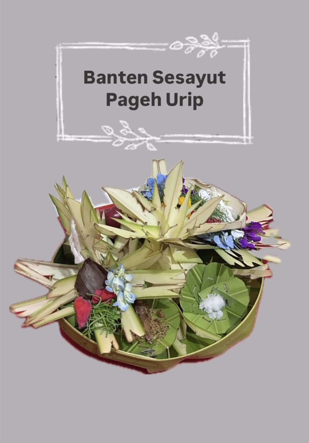 Banten sesayut pageh urip 🥰🙏🏻 #wanitabaliwanitatangguh #wanitabaliasli #mejaitan #nakluhbali #rahinanbali #metandingbanten #metandingbanten #metandingcanang #metanding #wanitabali 
