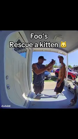 So @JAE_LU and I helped this poor lil kitten . #StruggleMade #JaeLu #kitten #catsoftiktok #cats