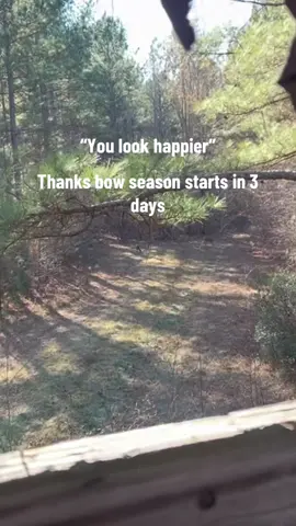 #deer #deerseason #deertiktok #deertok #fyp 