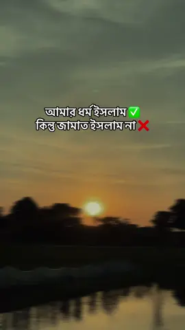 আমি রাজনীতি করি, কিন্তু জামাতে ইসলাম নামে ধর্ম ব্যবসা করি না!!👤#bayejid_sharif_10k #bayejid_sharif_1k #foreyoupage #fypvirulシ♠video🔥foreyoupage 