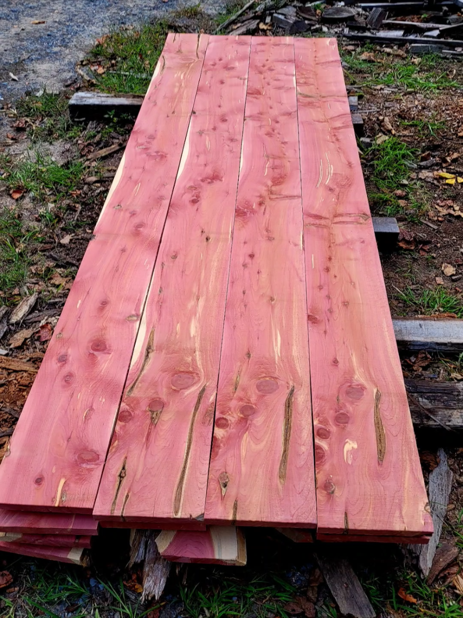 can you smell it #fyp #aromaticcedar 