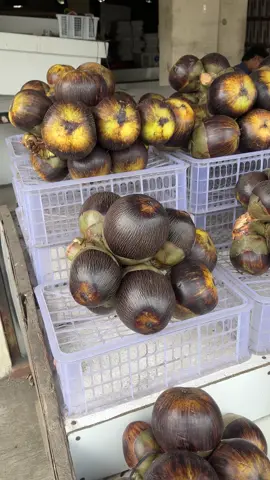 Buah Lontar /siwalan buah asli rembang🫒#lontar #buahviral #fyp 